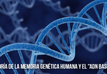 “Teoría de la Memoria Genética Humana” y el bloqueo del “ADN Basura”