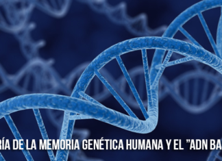 “Teoría de la Memoria Genética Humana” y el bloqueo del “ADN Basura”