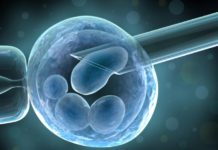 Nuestra retina podría esconder un proceso de auto regeneración