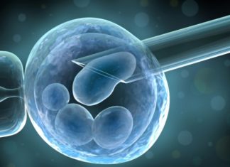 Nuestra retina podría esconder un proceso de auto regeneración