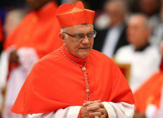 El papa Francisco nombra al cardenal Porras administrador apostólico de Caracas