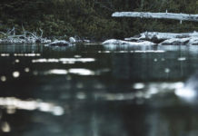 FOTO: Un lago de Australia reaparece y deja boquiabiertos a sus visitantes