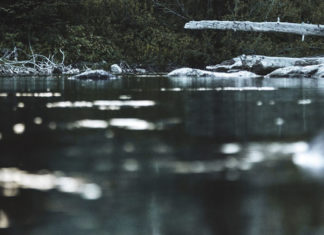 FOTO: Un lago de Australia reaparece y deja boquiabiertos a sus visitantes