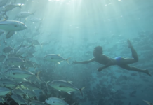 ¡Gitanos del mar! Esta tribu puede aguantar hasta 13 minutos bajo el agua