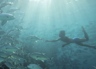¡Gitanos del mar! Esta tribu puede aguantar hasta 13 minutos bajo el agua