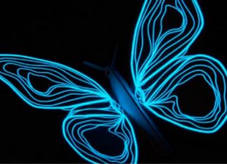 Efecto mariposa por Laureano Márquez @laureanomar