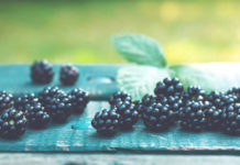 ¡Coma estos 6 superproductos y no le tema al cáncer!