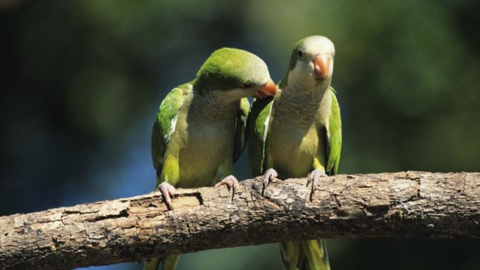LAVANGUARDIA_G_14155188799-229-kSdD-U453104636726MPF-992x558@LaVanguardia-Web