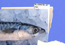 EL MIEDO por -Roger Vilain- @rvilain1 #Cultura