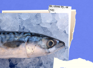 EL MIEDO por -Roger Vilain- @rvilain1 #Cultura