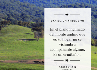 DANIEL, UN ÁRBOL Y YO por -Roger Vilain- Twitter: @rvilain1 #Cultura