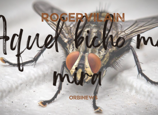 AQUEL BICHO ME MIRA por -Roger Vilain- X: @rvilain1 #Cultura