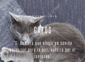 GATOS por -Roger Vilain- X: @rvilain1 #Cultura