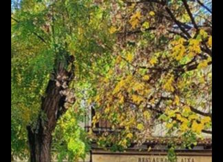 TERRAZA DE VERANO por -Roger Vilain- X: @rvilain1 #Cultura