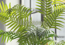 HORIZONTE por -Roger Vilain- X: @rvilain1 #Cultura