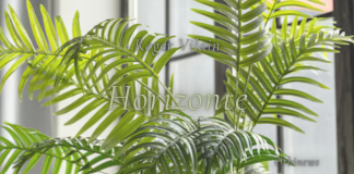 HORIZONTE por -Roger Vilain- X: @rvilain1 #Cultura