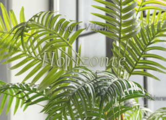 HORIZONTE por -Roger Vilain- X: @rvilain1 #Cultura