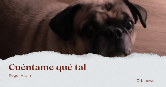 Cuéntame qué tal