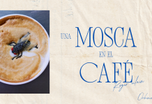 UNA MOSCA EN EL CAFÉ por -Roger Vilain- X: @rvilain1 #Cultura